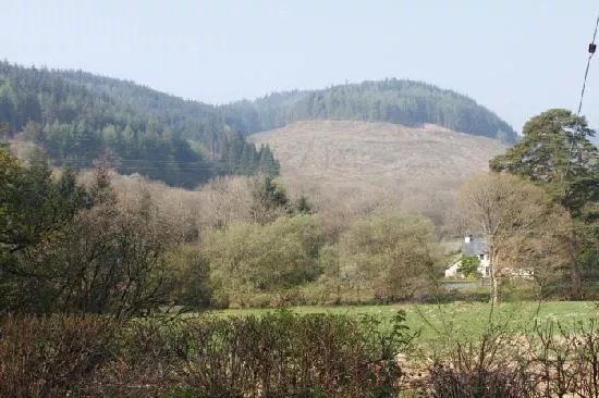 Bronfelin Holiday Cottage