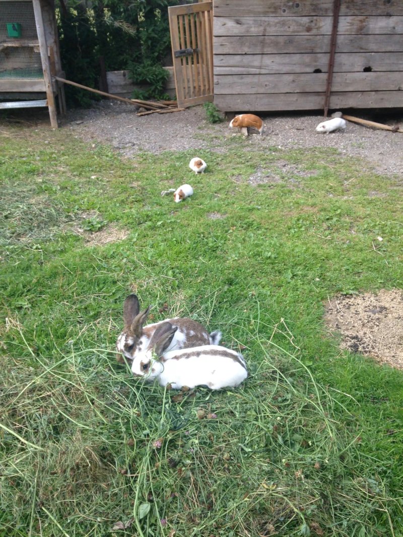 Residence Marteshof