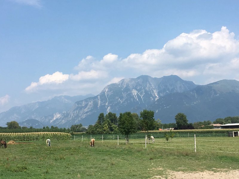 Agriturismo San Floreano