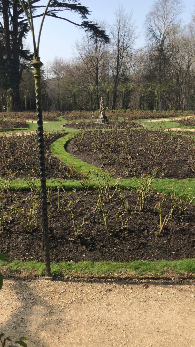 Water Terraces Und Rose Garden