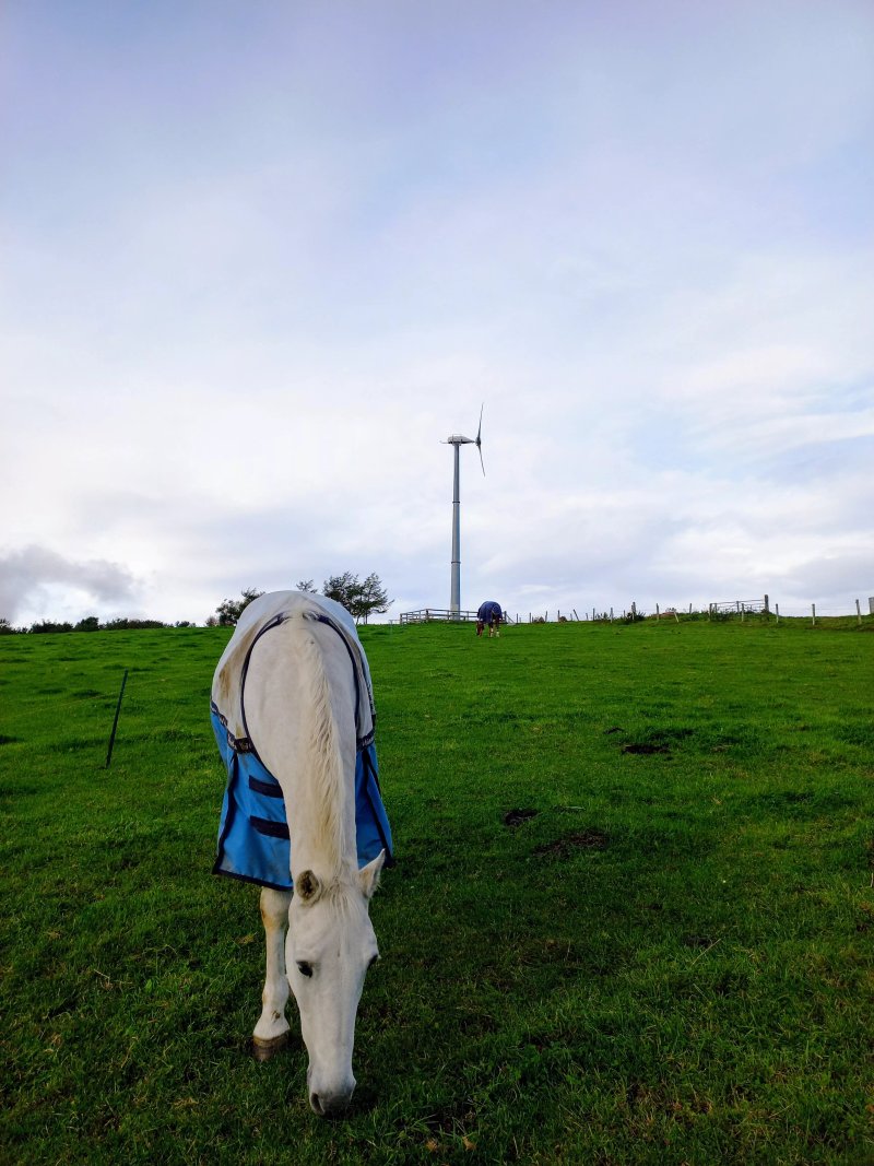 Cairnton Farm Cottages