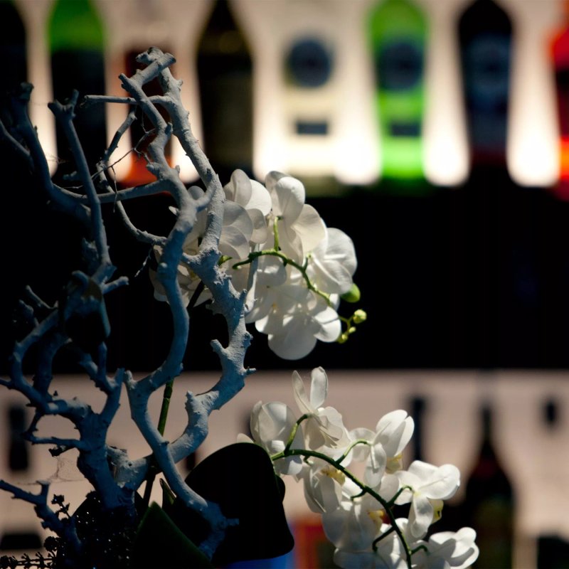 White Restaurant & Lounge Bar