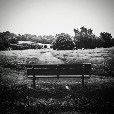 Walkers Heath Park