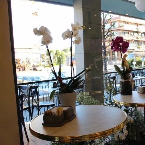 Bar Pasticceria Nazionale dal 1968