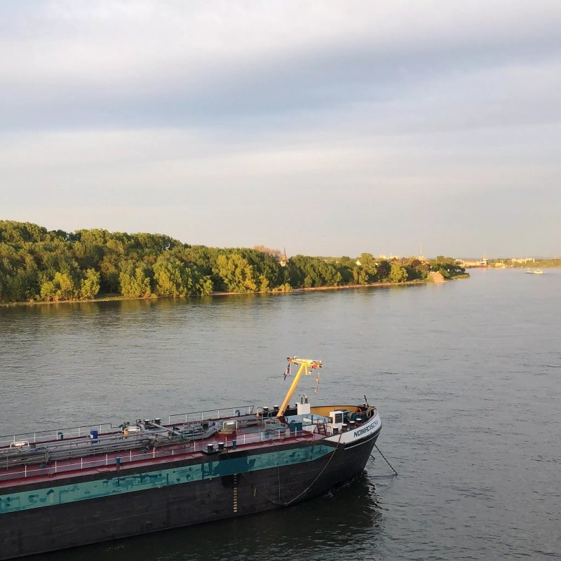 Hotel am Rhein