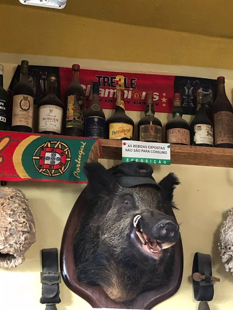 Cervejaria Ferradura Lagos