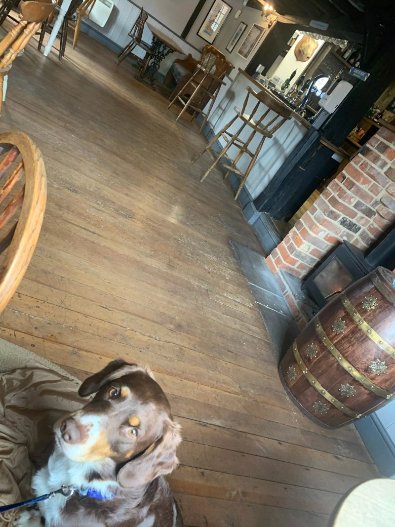 The Peldon Plough