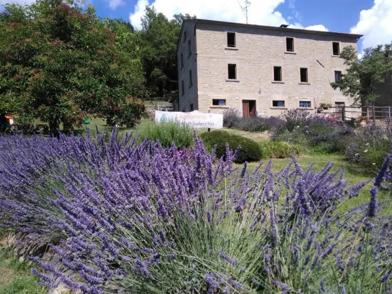Agriturismo I Monti di Salecchio