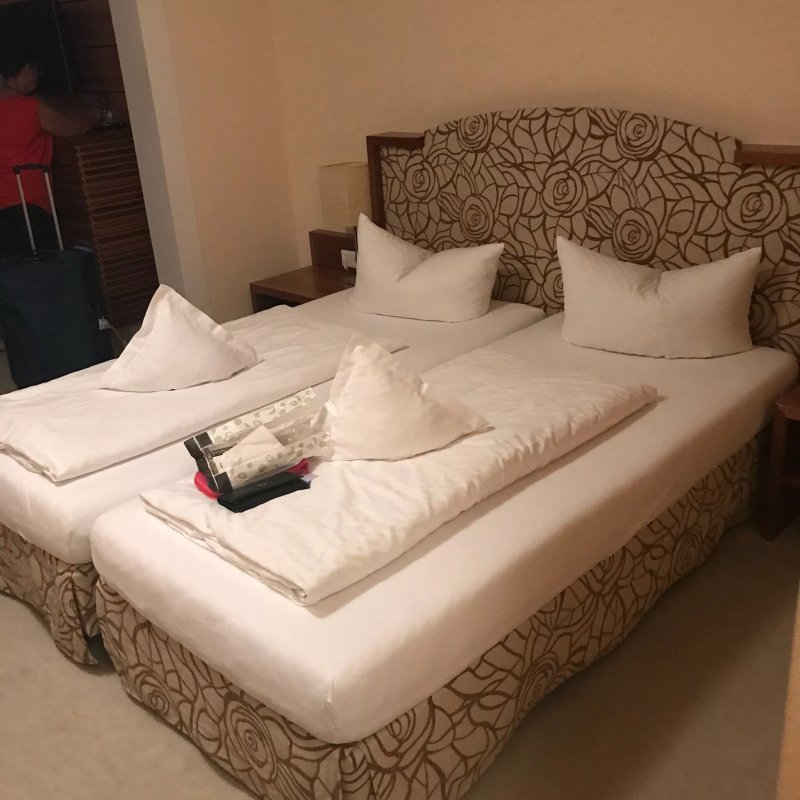 Hotel Geiger