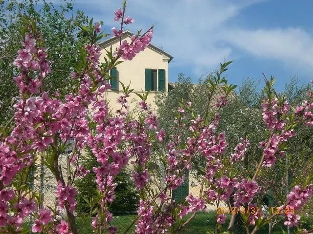 Bed & Breakfast I Ciliegi