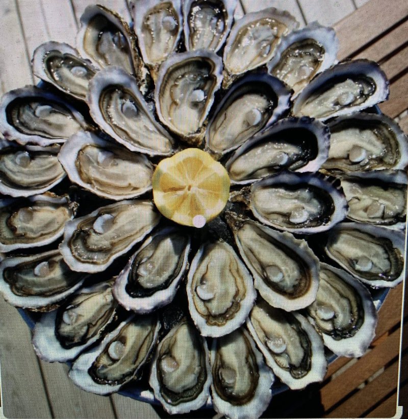 Chez Pitch