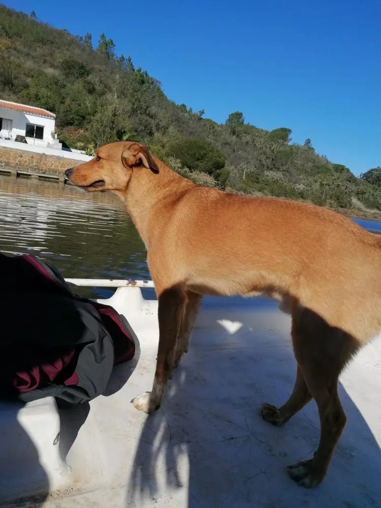 Moinho Da Asneira