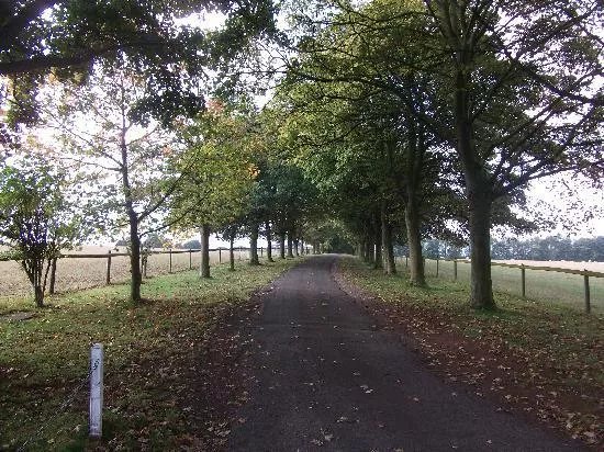 Snowshill Hill Estate