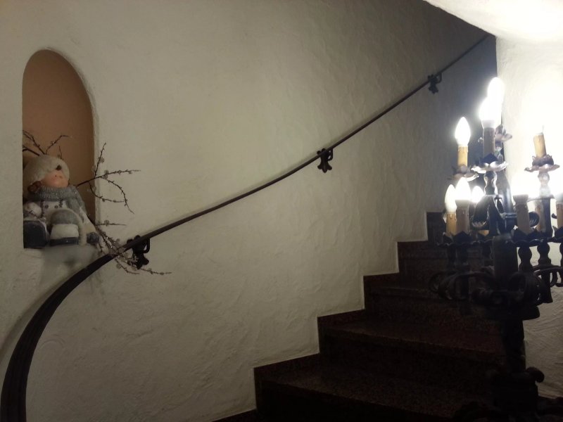 Zum grunen Baum