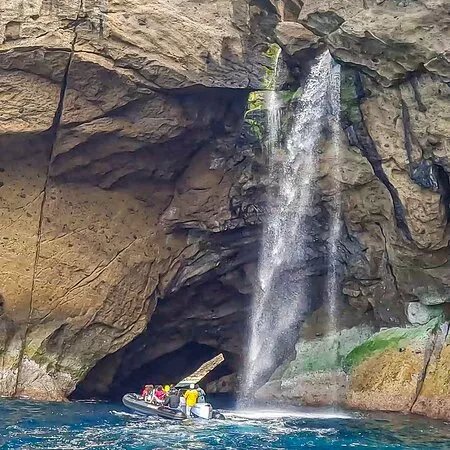 Explore Flores