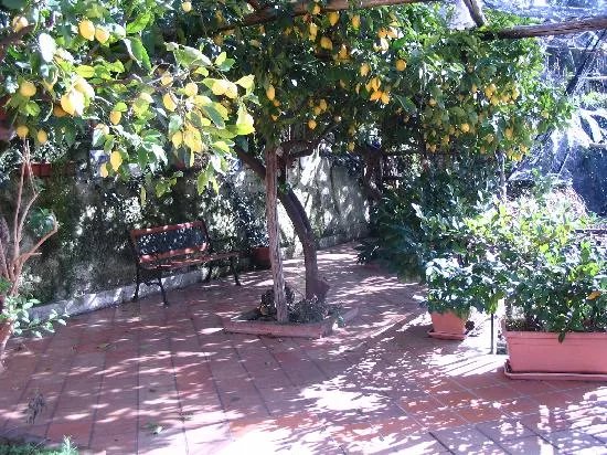 Free Holiday Bed & Breakfast