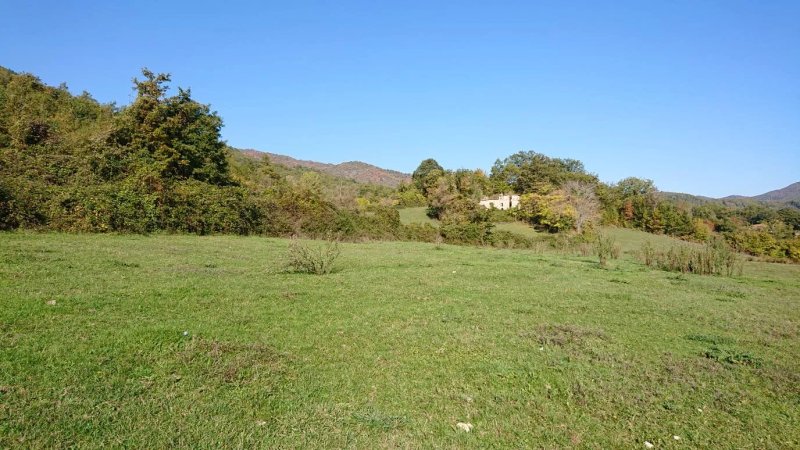 Fattoria Sant'Apollinare