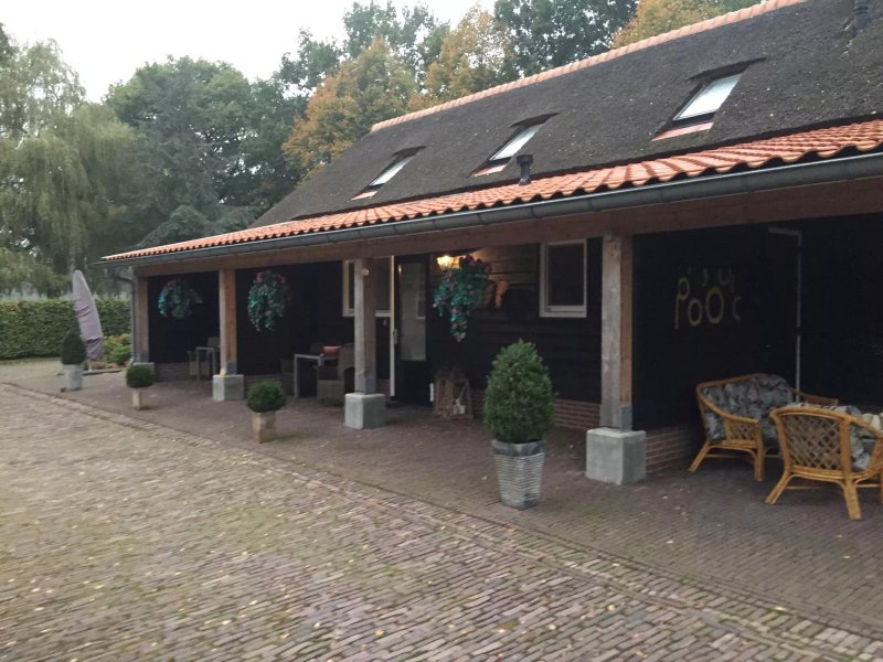 B&B Rheezerstee