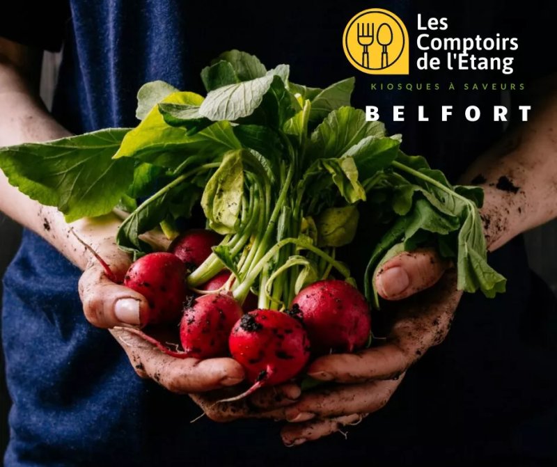 Les Comptoirs De L'etang