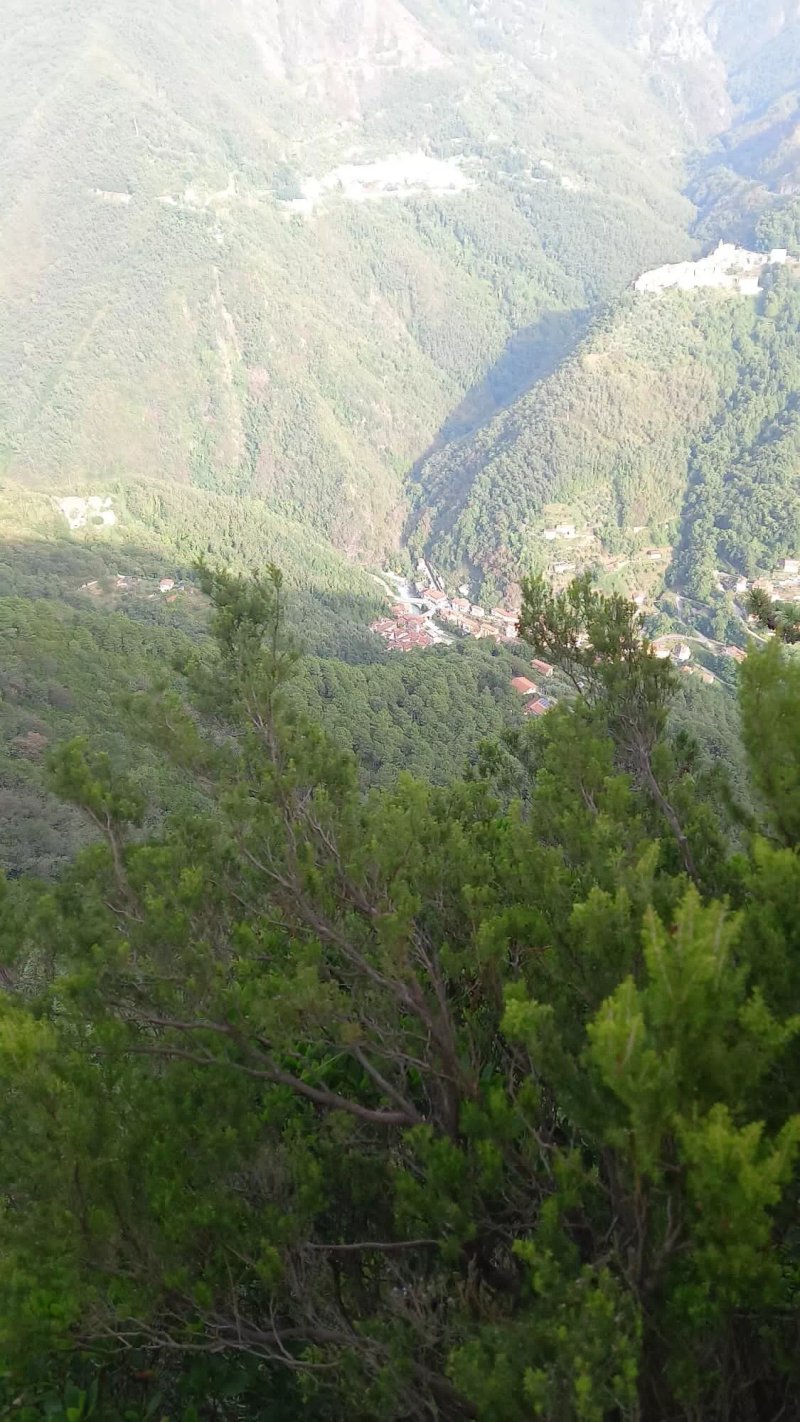 Centro Trekking a Cavallo Monte Brugiana