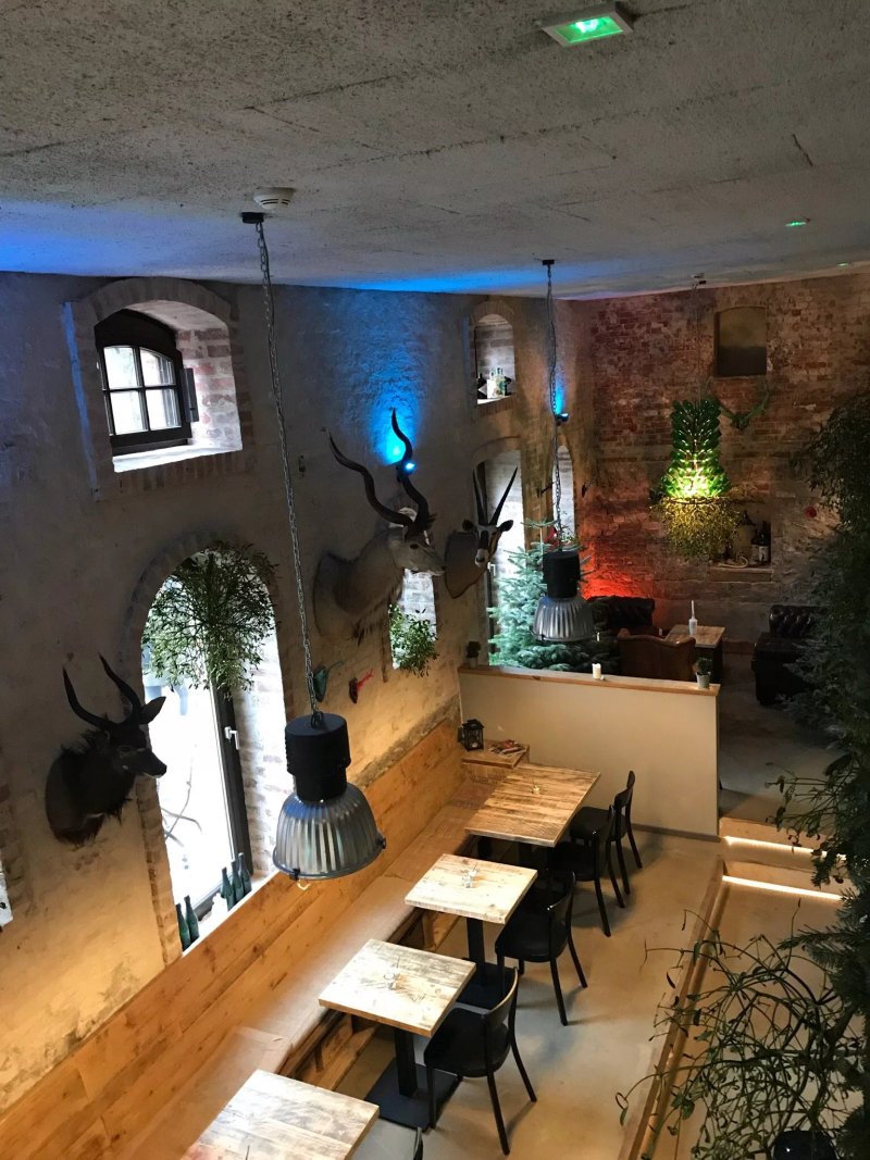 Viscvle Kitchen & Bar