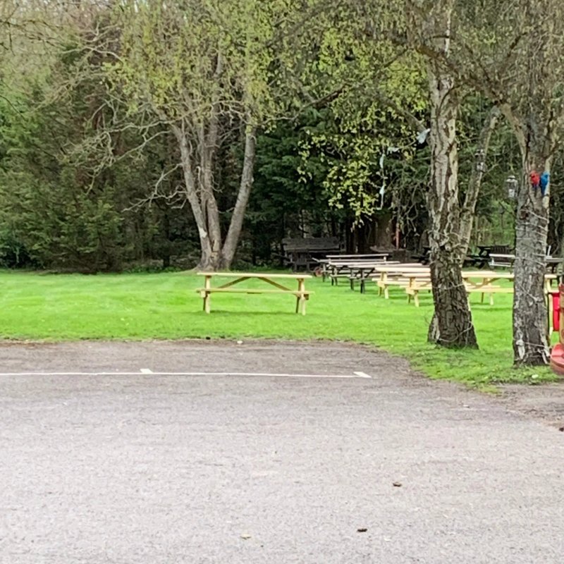 Fox & Pheasant