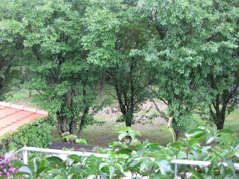 Rooms Pleso