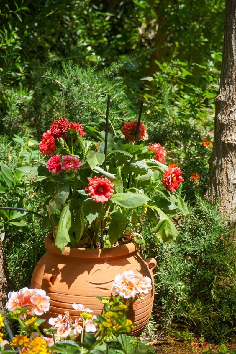 Vagia Traditional Hotel, Aegina Island