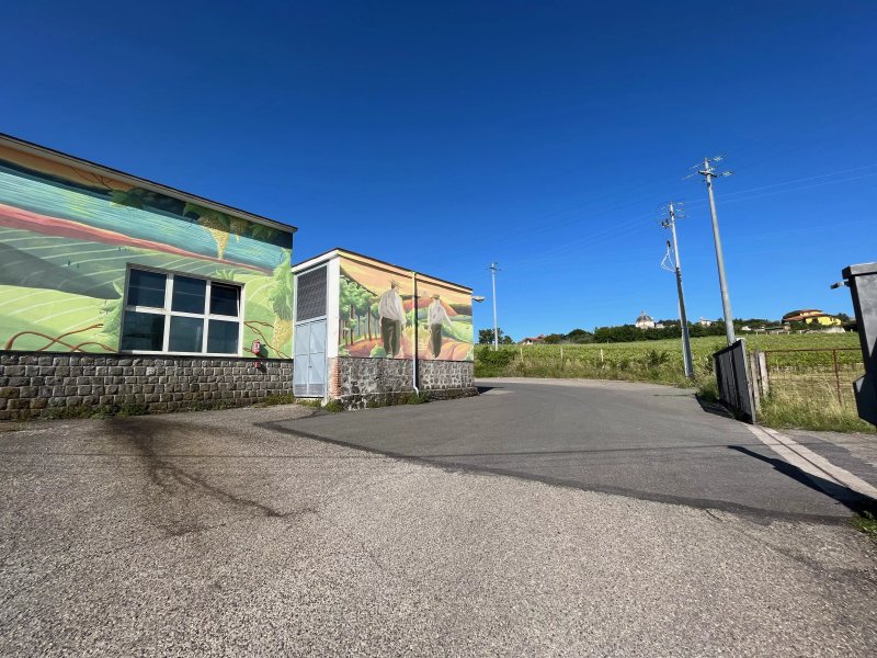 Cantina Di Montefiascone