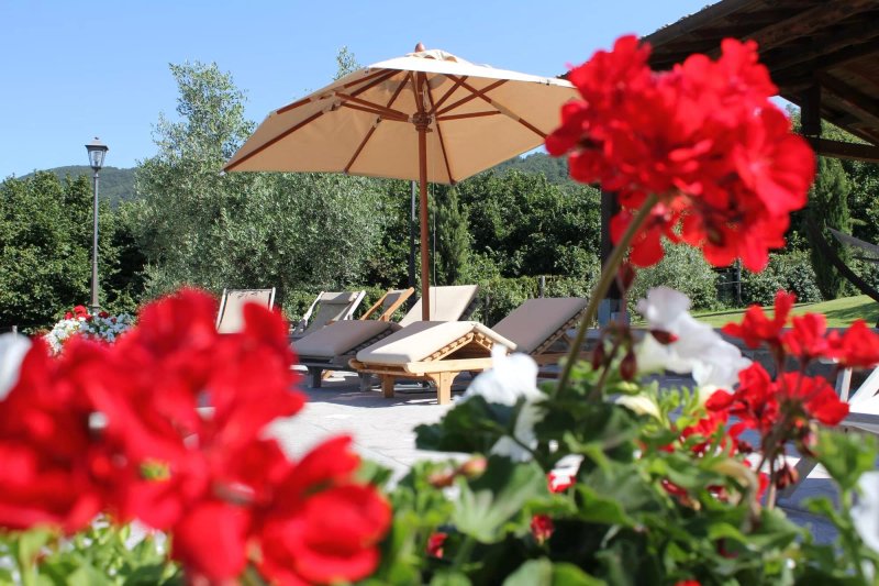 Agriturismo La Valle Di Vico