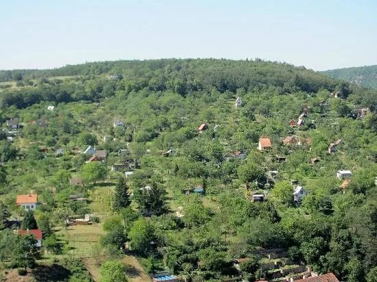 Cow Mountain
