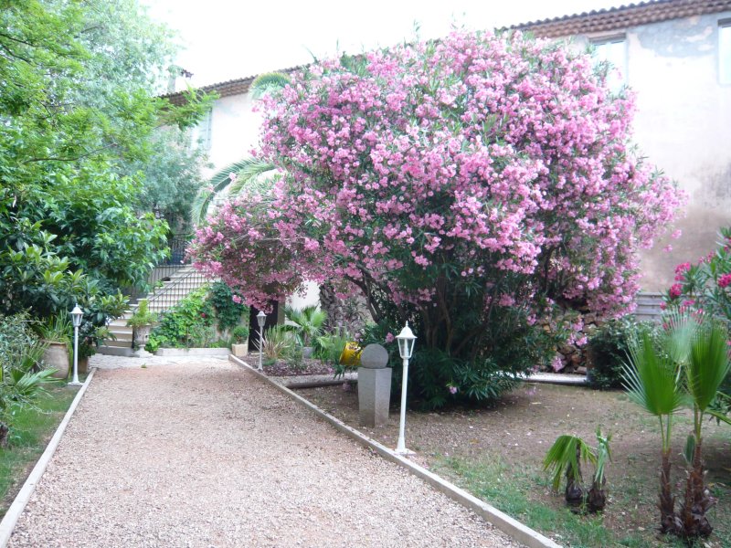 Auberge de Pachoquin