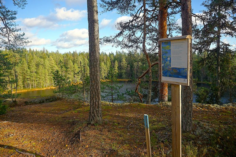 Kammarmaen Luontopolku
