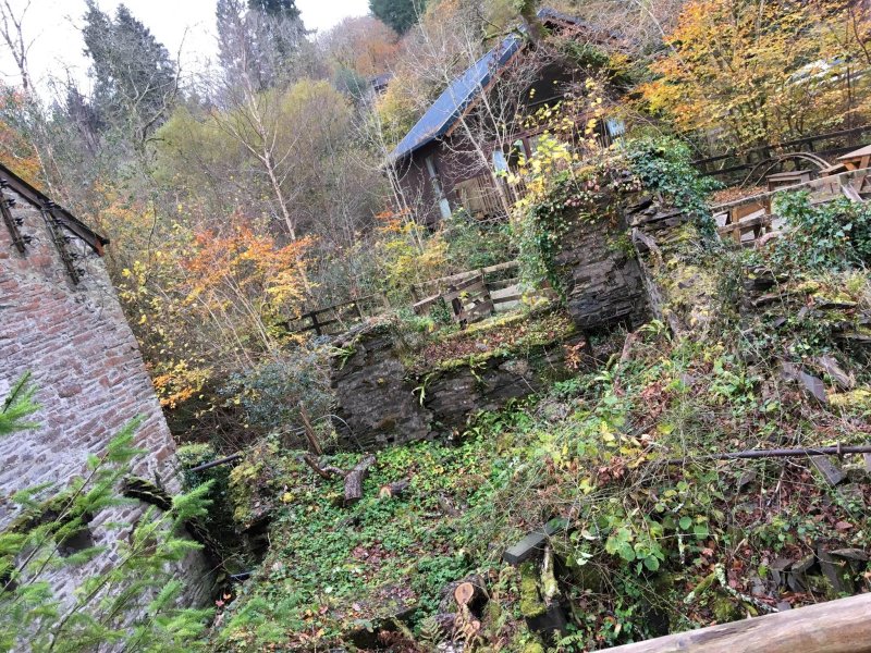 Deer Park Forest Cabins