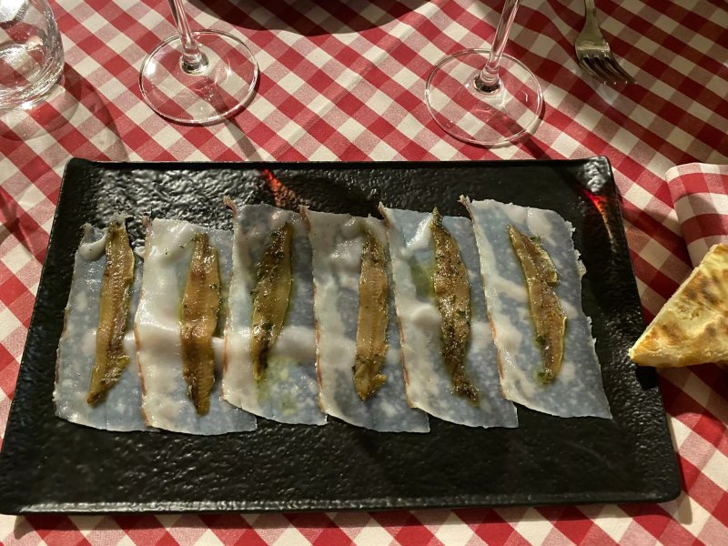 Caciosteria Umbra e..