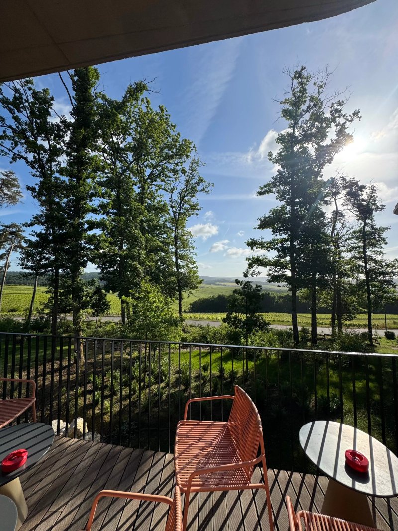 Loisium Wine & Spa Hotel Champagne