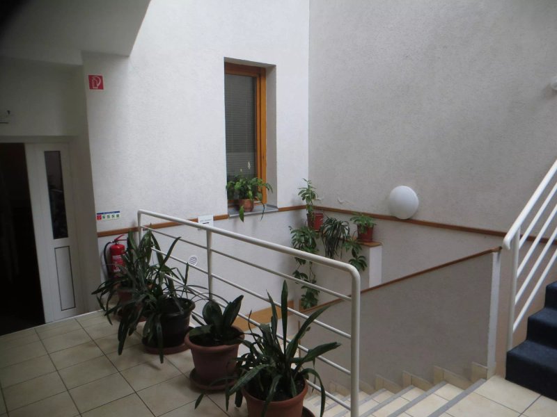 Hotel Papillon