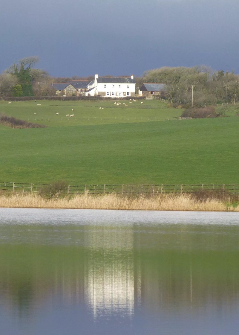Brexworthy Farm B&B and Cottages