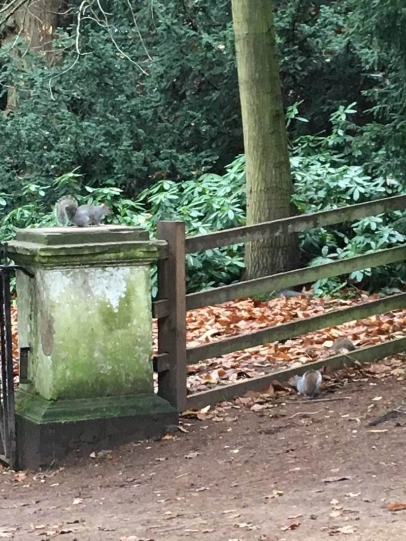 Clumber Park