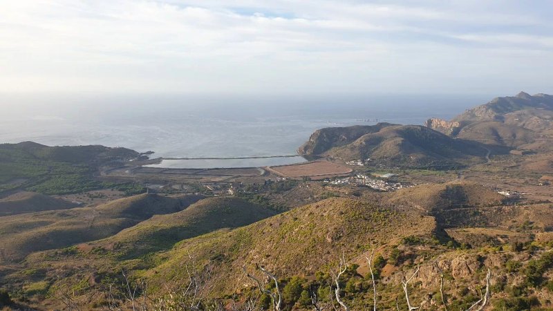Pico del Aguila