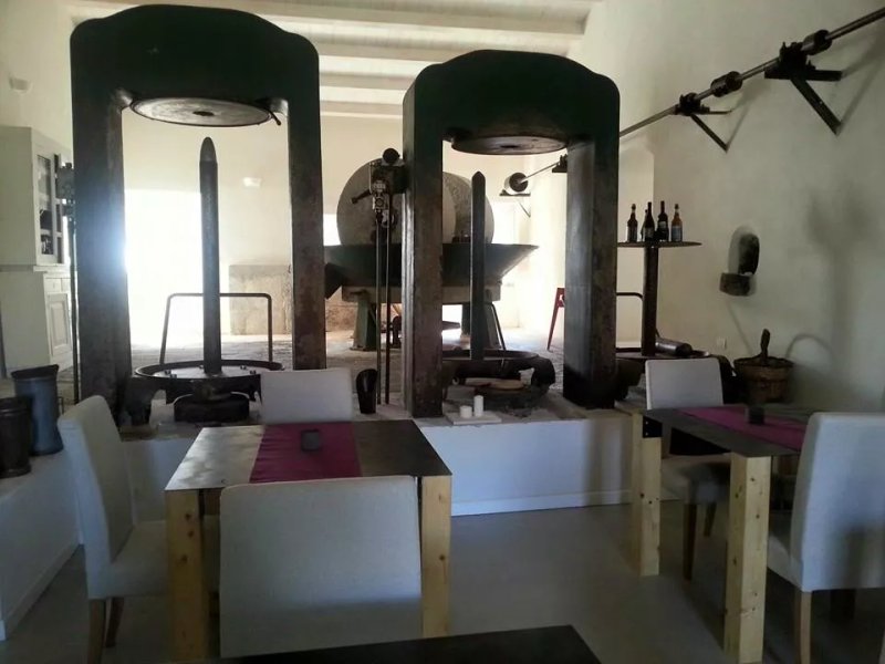 Agriturismo Terre di Senia
