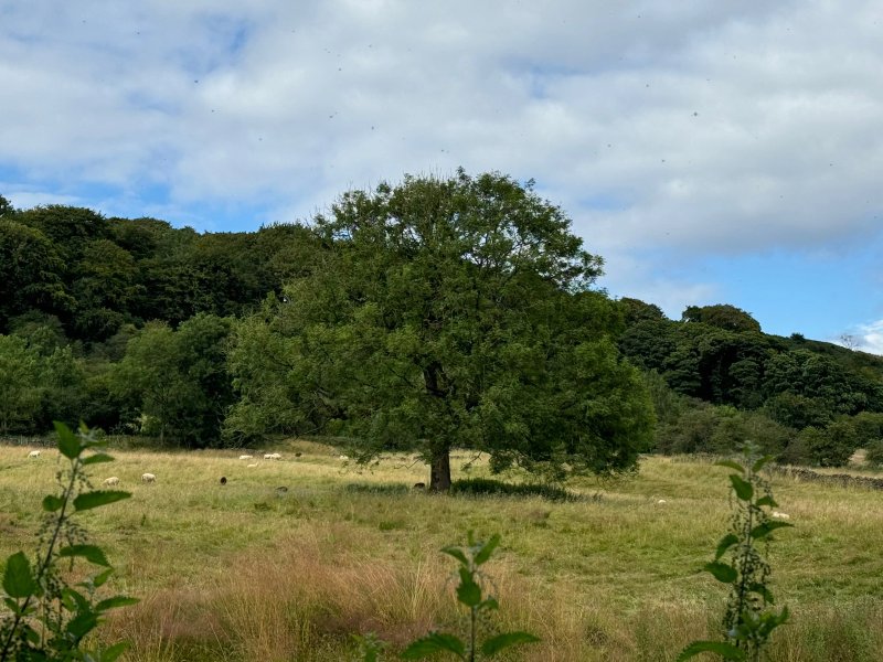 Derbyshire Hills Campsite
