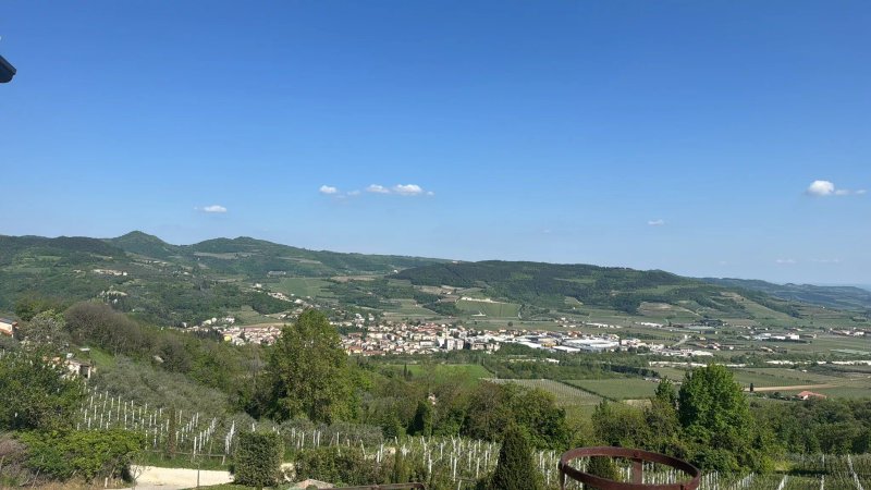 Tenuta Le Cave