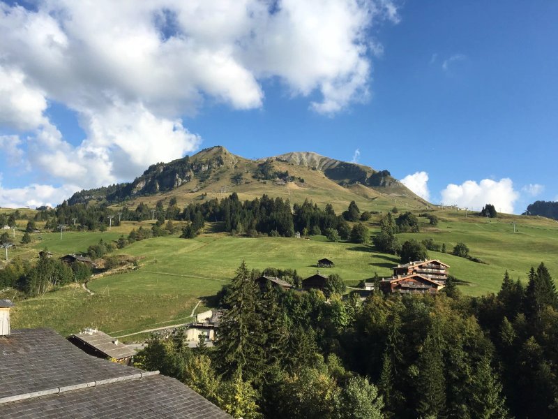 Hotel Les Cimes