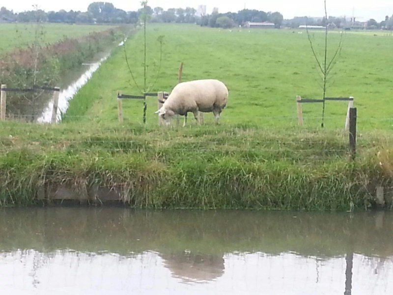 Aan de Kwakel