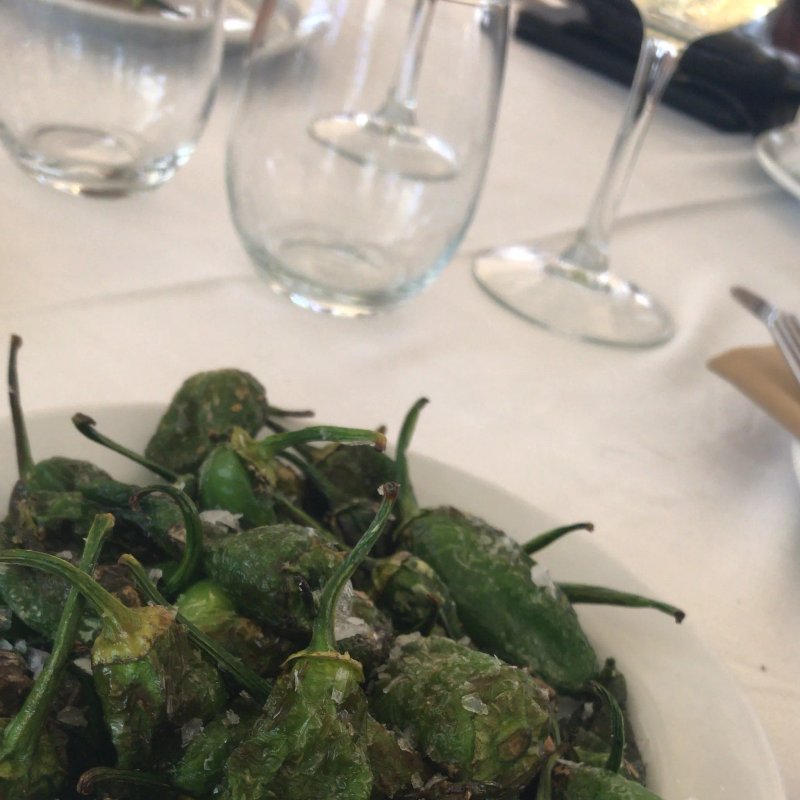Pika-Tapa, S.L.