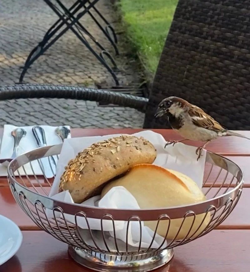 Dorint Herrenkrug Parkhotel Magdeburg