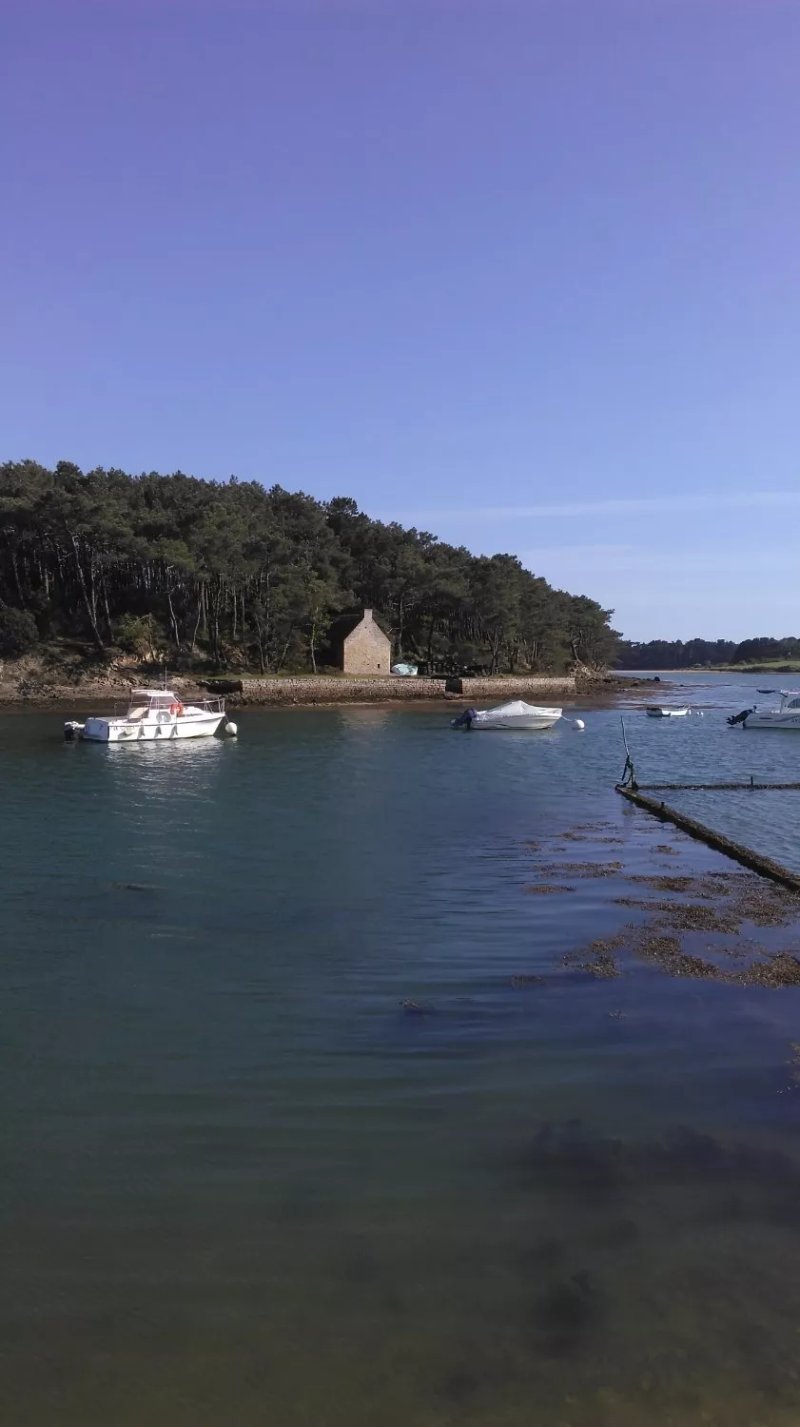 La Cabane a Huitres