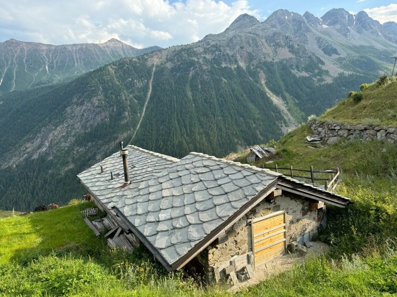 Grand Golliat