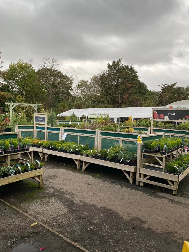 Wyevale Garden Centre Coffee Shop